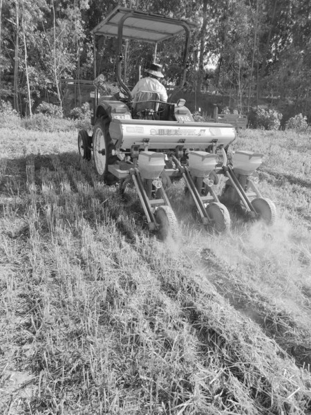 济南市济阳区新市镇不断激活乡村振兴“红色引擎”